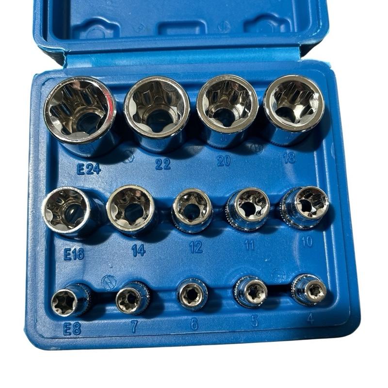 14pcs E Type Socket Set E Torx 1/4 1/2 and 3/8 in plastic case