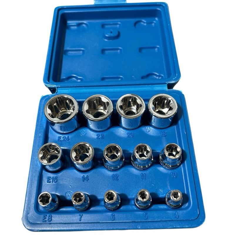 14pcs E Type Socket Set E Torx 1/4 1/2 and 3/8 in plastic case